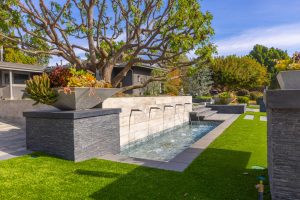 contemporary plants in a cast concrete plants by water feature in front yard